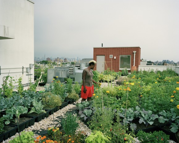 Granja en terraza del Crown Heights en Brooklyn. Imagen © Rob Stephenson para "Design Trust for Public Space"