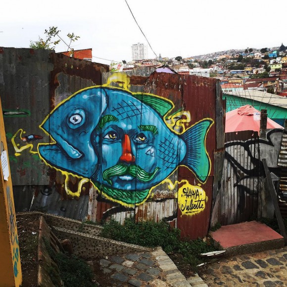 Cerro Polanco, Valparaíso. Flickr Usuario: Faya E.C.