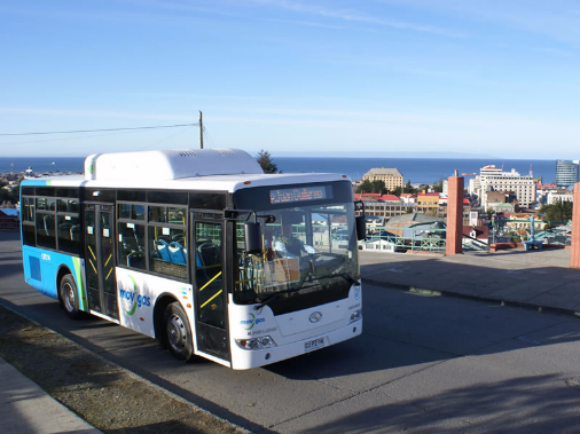 Bus de Movigas en Punta Arenas. © Movigas
