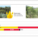 Vegetacion afectada incendios forestales Chile