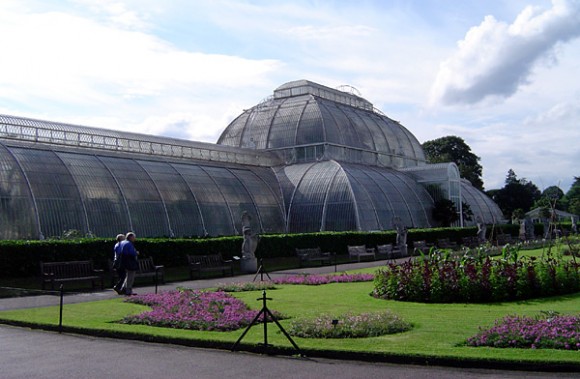 jardin botanico kew londres wikimedia