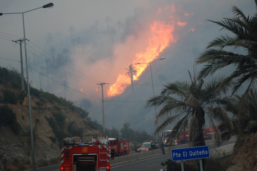 Incendio camino Las Palmas