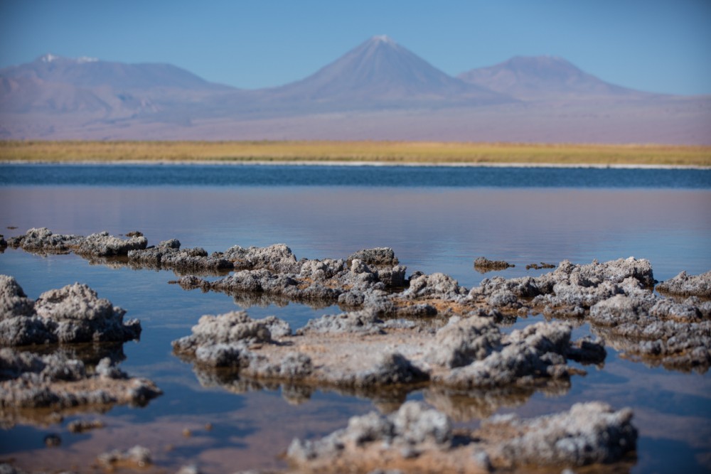 Laguna Cejar en el Salar de Atacama.