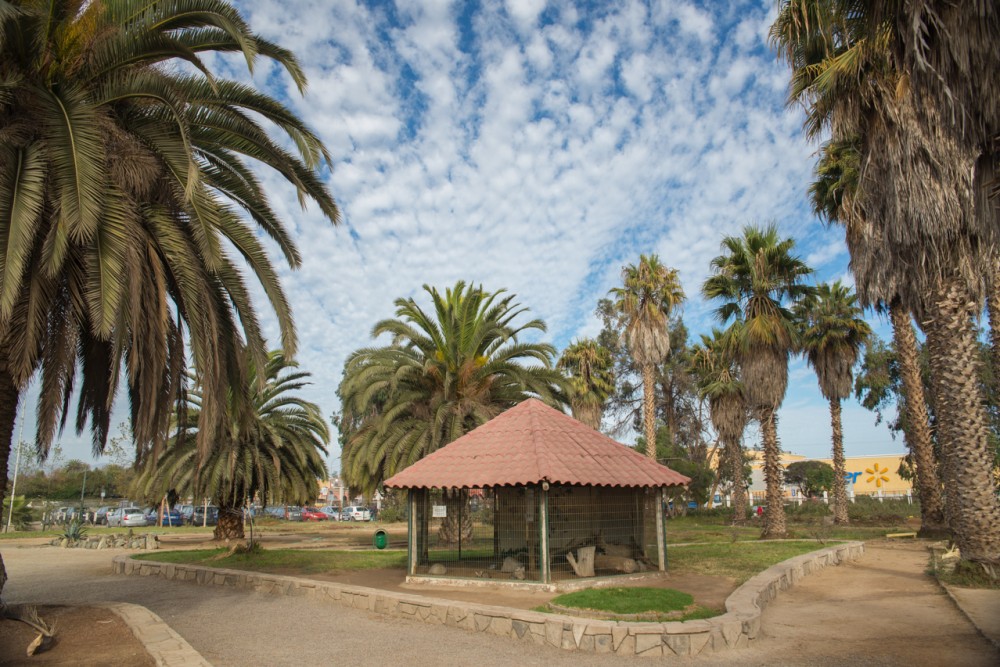 Parque Pedro de Valdivia 1