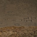 Geoglifos visto desde el camino Las Maitas