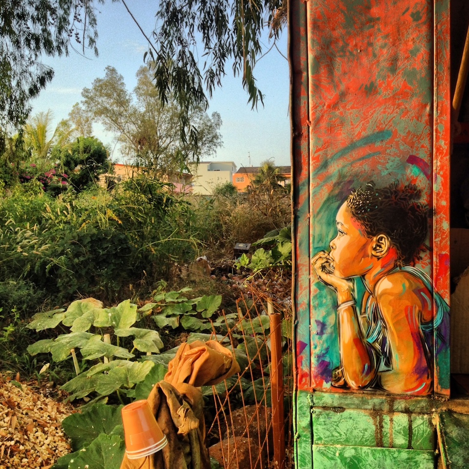 Street-Art-by-C215-in-Senegal-1