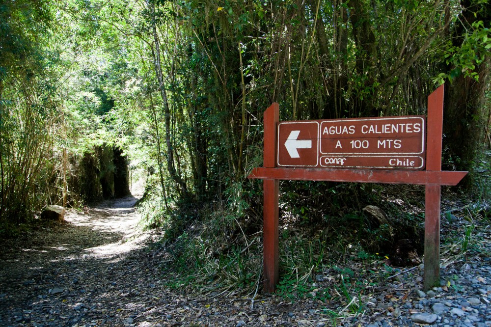 Parque Nacional Puyehue 6