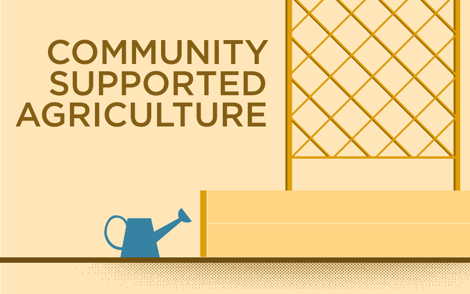 Agricultura apoyada por la comunidad