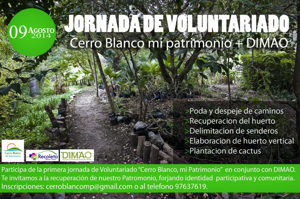 Afiche Voluntariado en Cerro Blanco 9 agosto