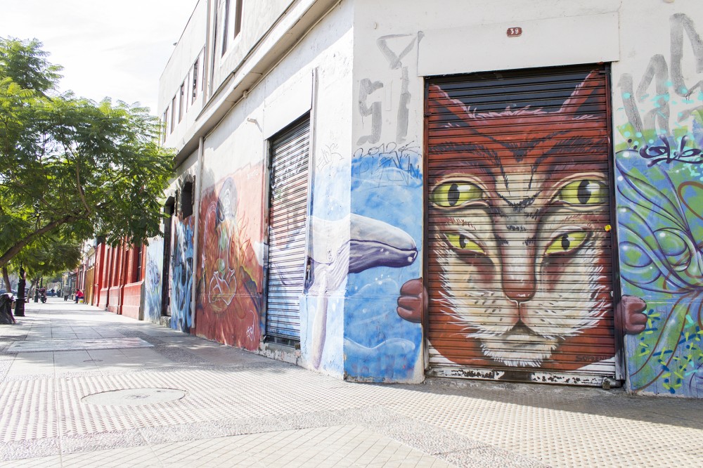 Murales en Barrio Bellavista 4 © Andrea Manuschevich para Plataforma Urbana